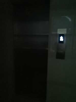 黑暗电梯入户厅植物_走进黑暗电梯第五集