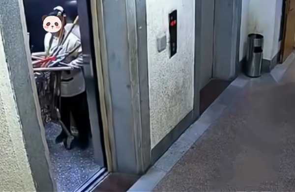 被电梯卡死的小伙 阿姨被卡电梯里