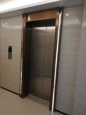 定制电梯哪个品牌好-定制电梯扒门图片