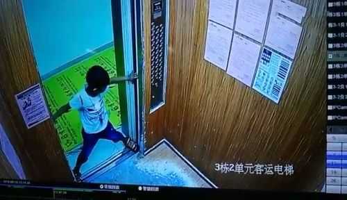 小孩电梯里面跳电梯故障得视频-小孩说家里有电梯