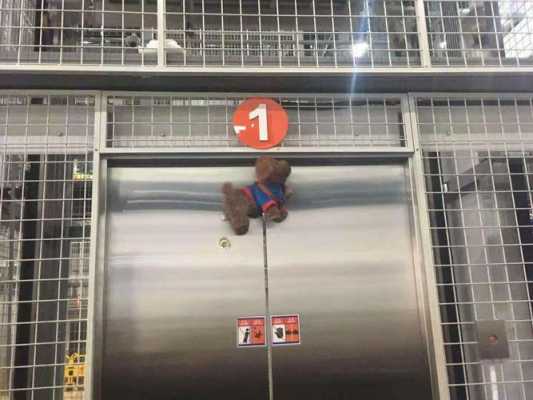 狗狗关在电梯被吊死