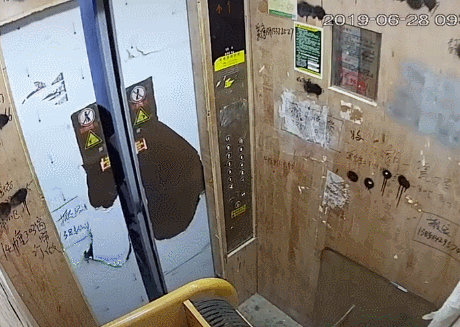 香港电梯死亡被夹在门缝 香港电梯小偷解说电影