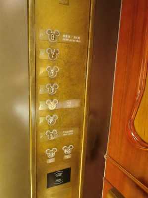 上海迪士尼宾馆电梯事件（迪士尼乐园电梯）
