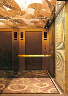 无锡安装电梯-无锡公共电梯装潢服务