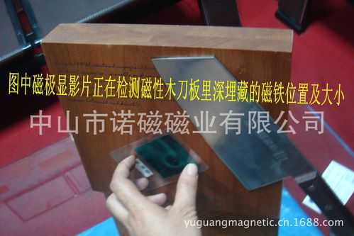 北京节能电梯磁铁检测,电梯测磁极是什么 