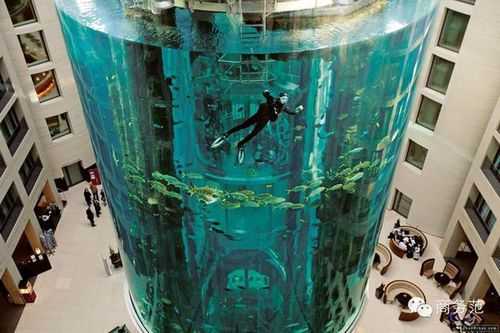 海底水下电梯 中国水下电梯有多长
