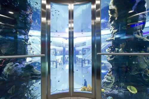 带电梯的海洋世界（有电梯的海洋馆在哪里）