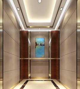 现代风格电梯装潢图_现代电梯标志图片